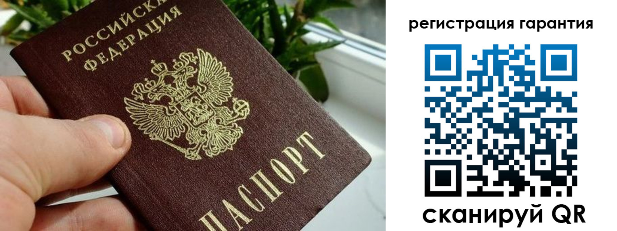 временная регистрация надежно в Тульской области